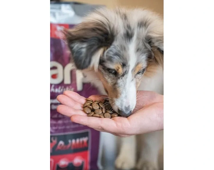 Marp Holistic Red Mix - hovězí,krůtí,zvěřina bez obilovin 2kg
